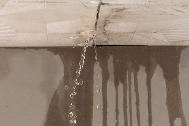 Professional Structural Drying technician working in Angora, MN